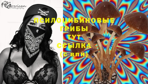 гидропоника Волосово